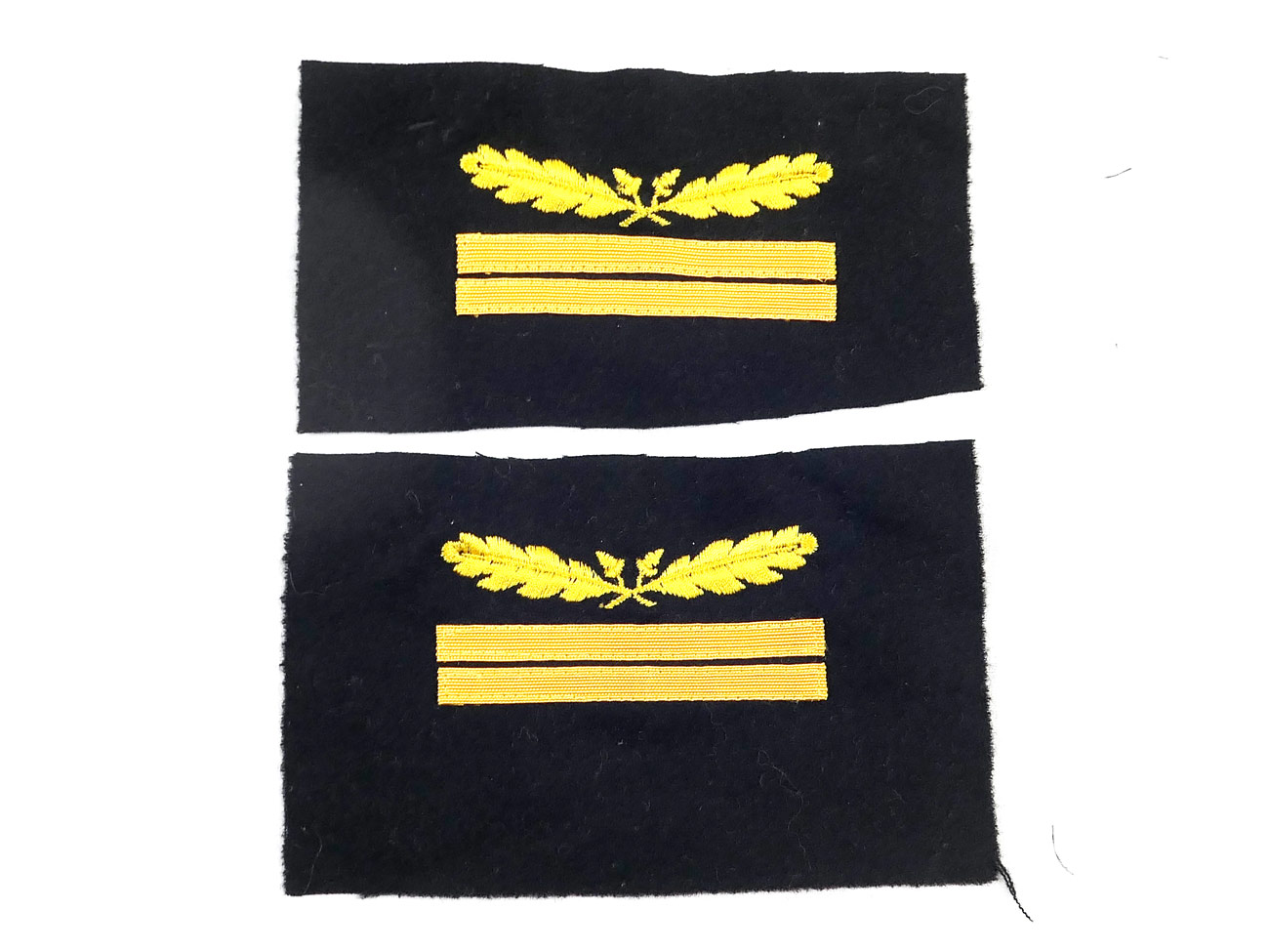 Sleeve Badge Rank Badge XX Group Leader and Lieutenant General of Weapons Elite