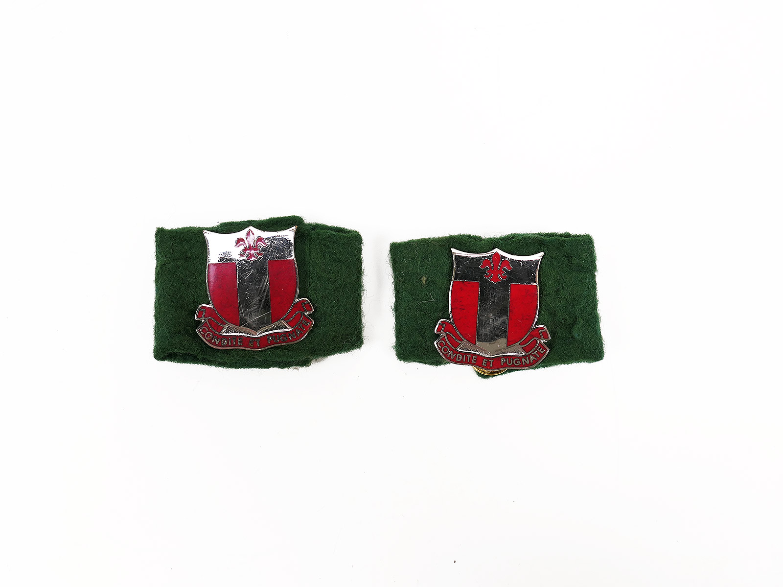 US 20th Engineer Battalion Distinctive Unit Insignia, Army Crest, Condite et Pugnate Pin, Medal Badge