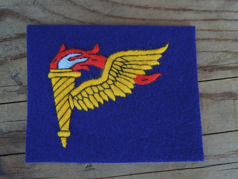 US Army Badge Pathfinder