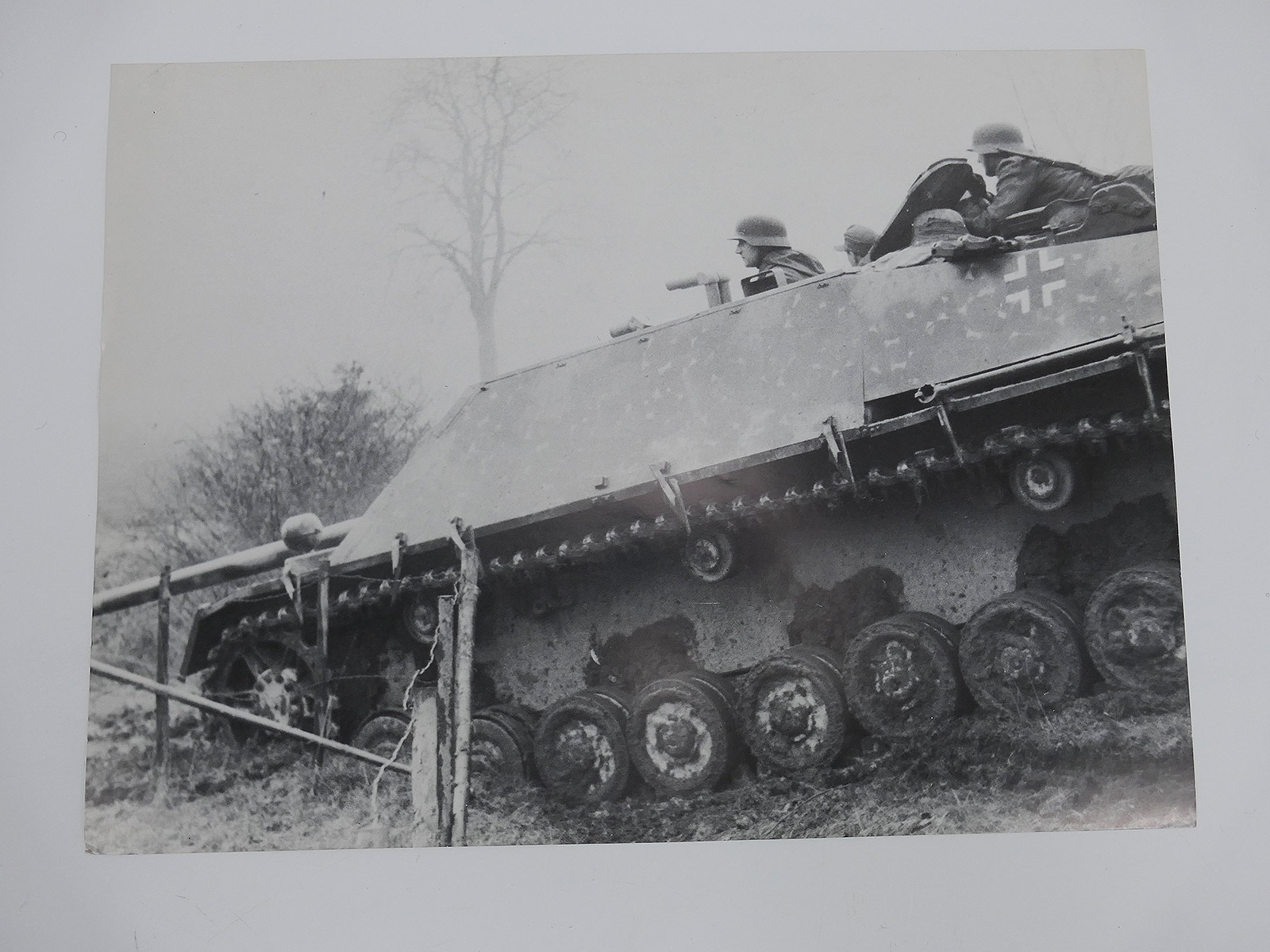 Poster / Picture Jagdpanzer der SS-Panzer Jäger Abt. 1 (40x30cm)