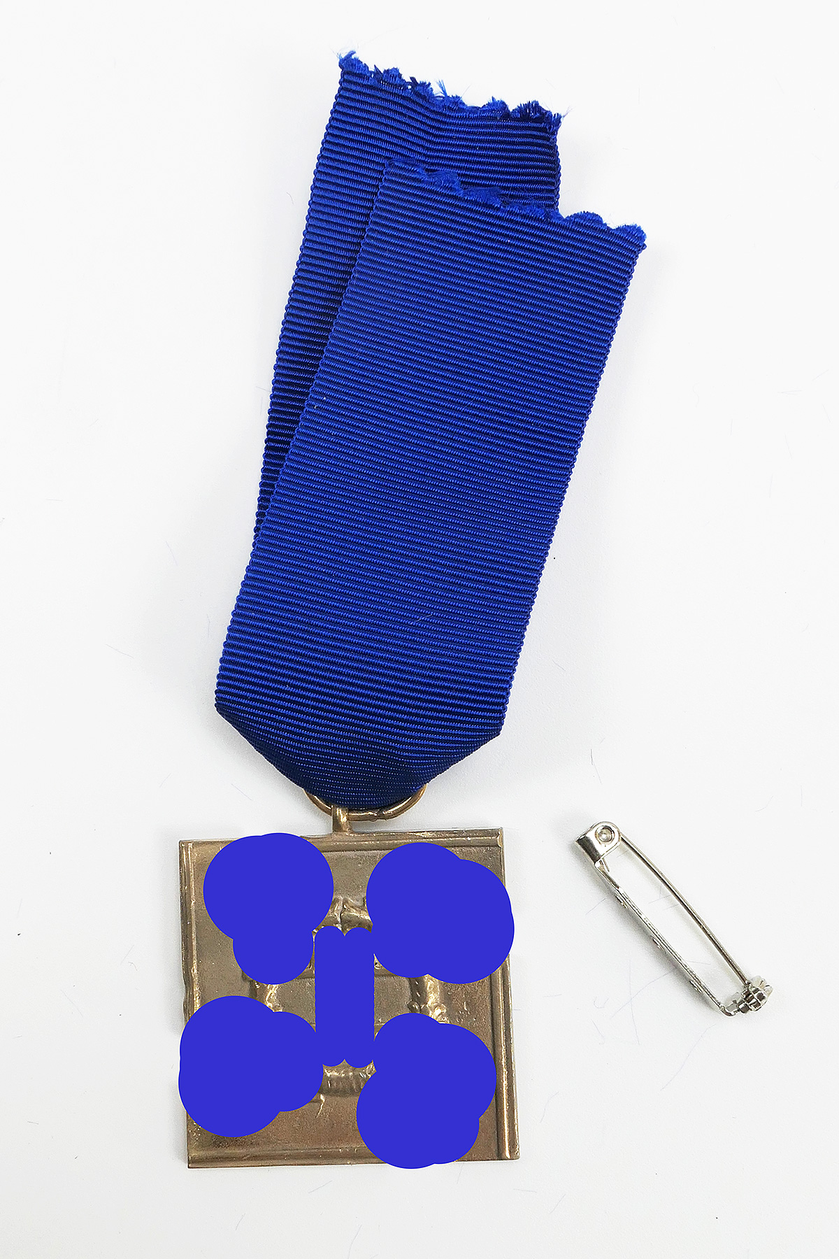 XX Service Award for Faithful Service in the Elite