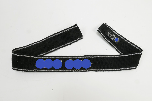 Waffen SS sleeve band A.H. Leibstandarte LAH officer hand embroidered with RZM label