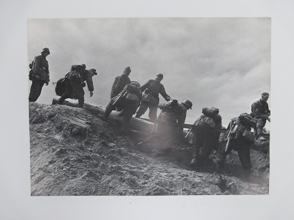 Poster / Picture Pioneers of the Pz.-Pionier-Btl. 5 WIKING (40x30cm)