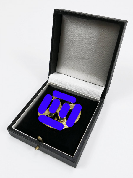 Germanic achievement rune of the SS level gold in award case